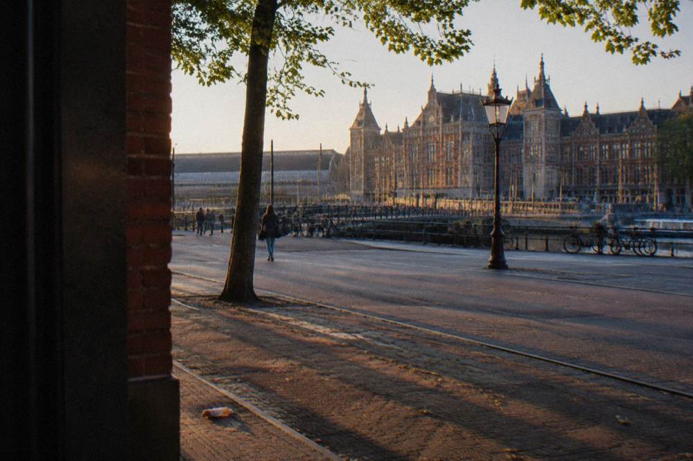 A quiet Amsterdam residential street with trees and brick facades in evening light