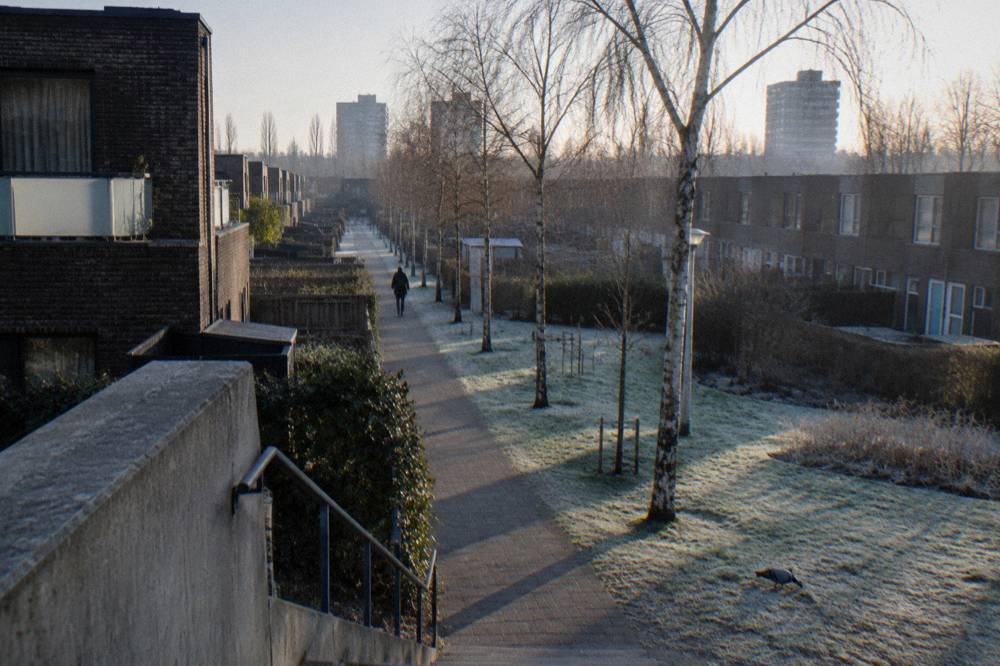 Modern apartment blocks and a tree-lined path in a quiet residential district
