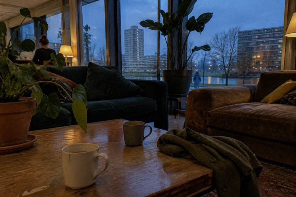 A hostel common room with sofas, plants and warm evening light