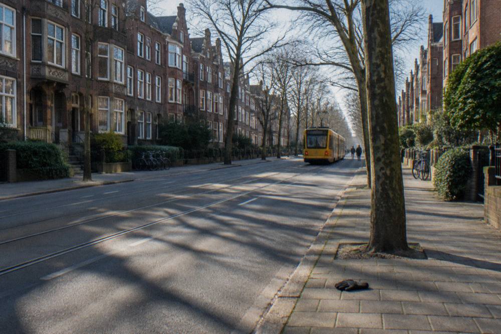 Tree-lined residential street with trams and brick apartment buildings south of the city centre