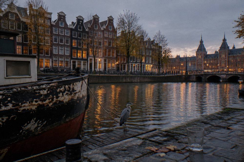 Evening light on narrow canal-side buildings along an Amsterdam street