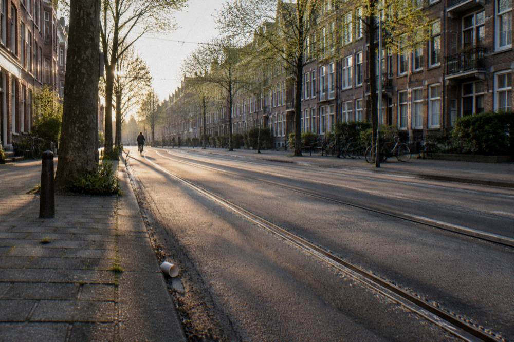 A tree-lined street in east Amsterdam with a tram line and brick apartment blocks
