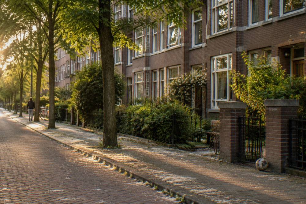 A residential Amsterdam street in the east with trees and brick apartment blocks