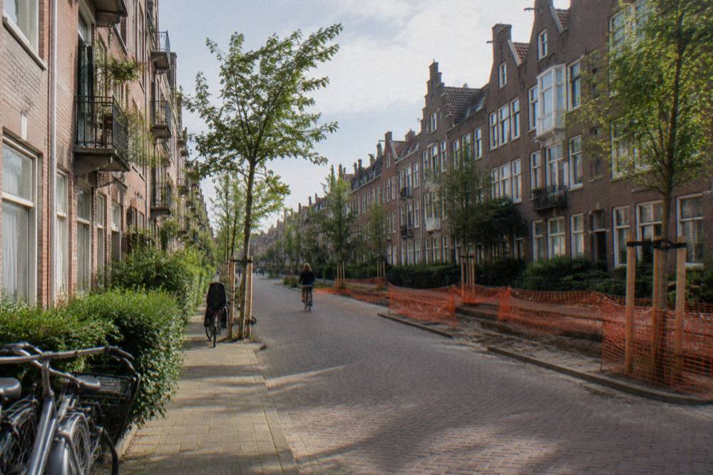 Quiet residential street with trees and brick apartment blocks in Amsterdam East
