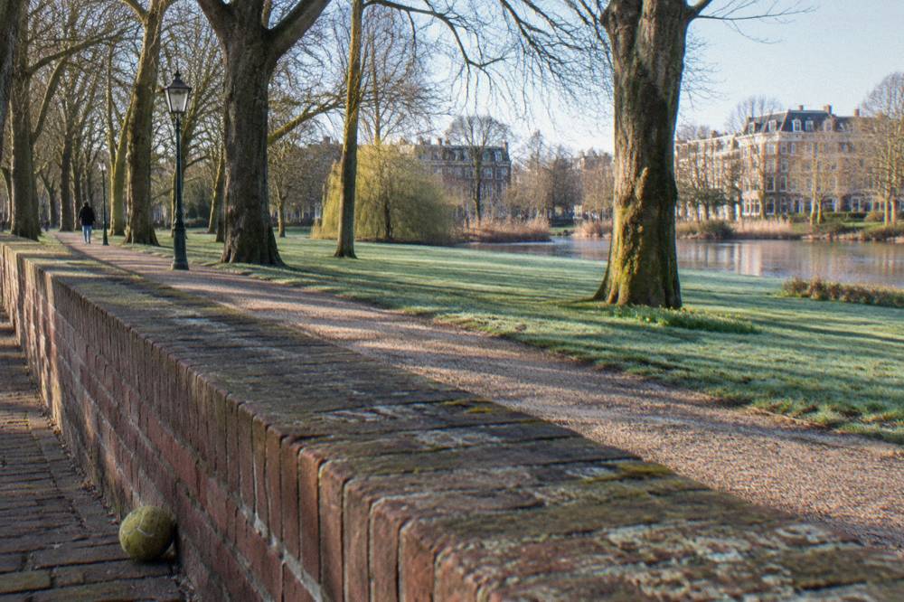 Tree-lined avenue beside a green city park in Amsterdam South