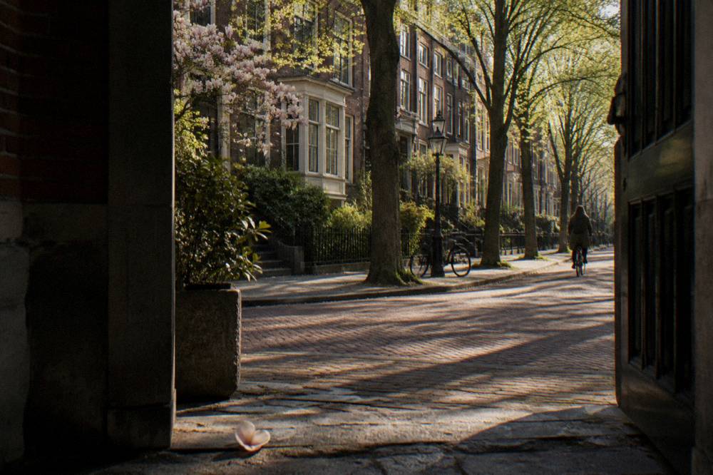 Calm residential street with parked bicycles near Vondelpark in Amsterdam Zuid