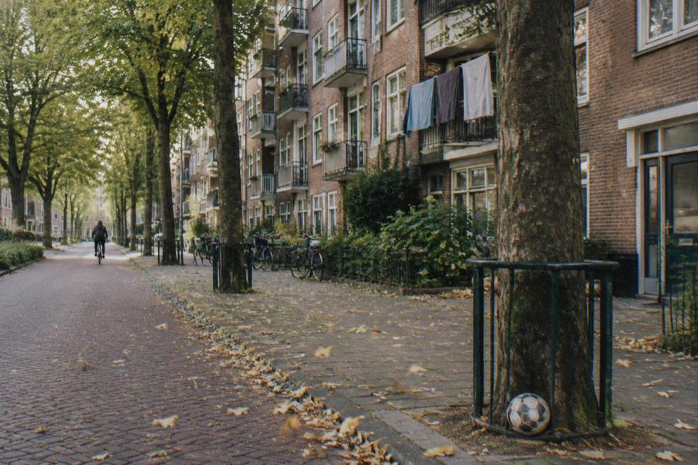Residential Amsterdam street in the east with brick apartment blocks and trees