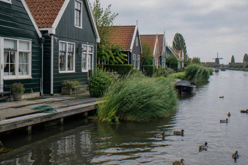 Wooden Zaan-style houses along a quiet canal in Zaandam on an overcast afternoon